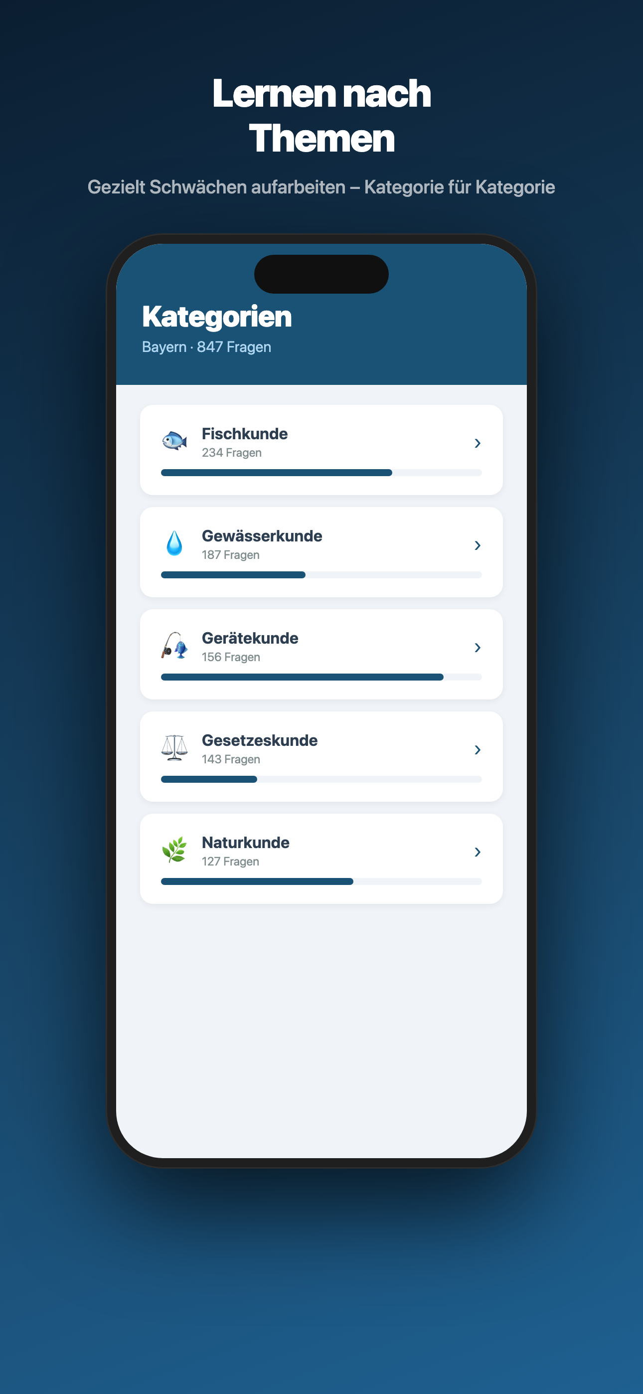 Fragen nach Kategorie